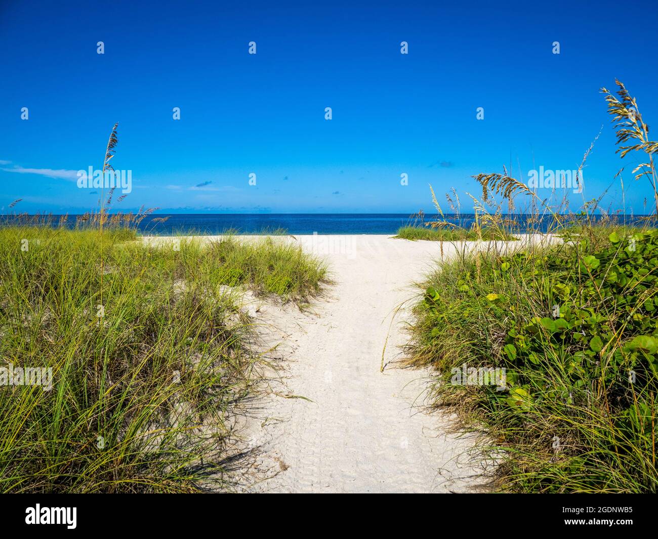 Percorso a Nokomis Beach nel sud-ovest della Florida sul Golfo del Messico a Nokomis Florida USA Foto Stock