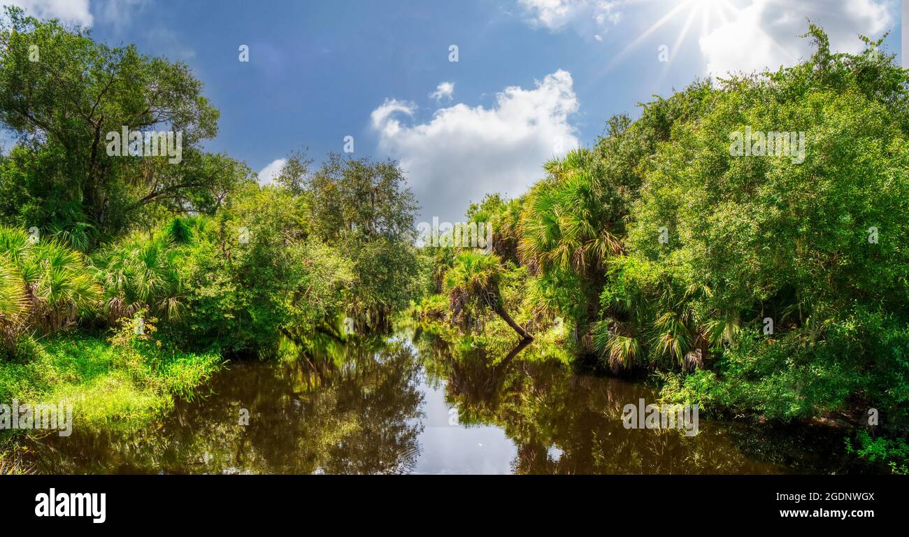 Clay Gully nel Myakka River state Park a Sarasota, Florida USA Foto Stock