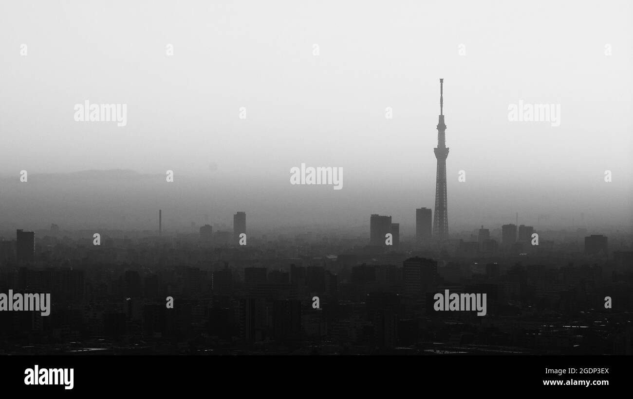 Tokyo City e Tokyo Sky Tree Tower. Vista aerea della citta' di tokyo con famosa destinazione turistica per il viaggiatore. Struttura più alta del mondo quando Foto Stock