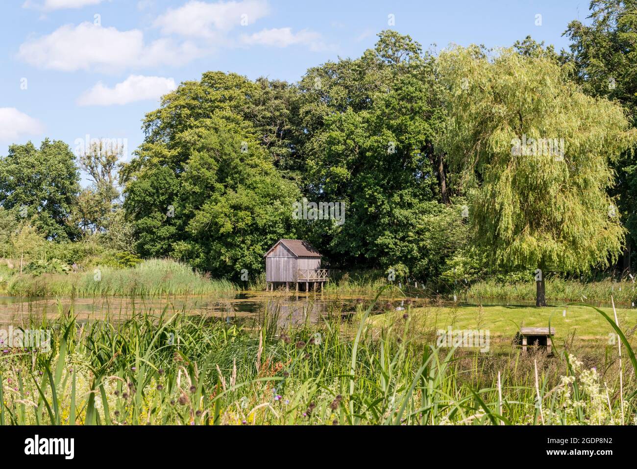 Il laghetto di anatre a Jupiter Artland fuori Edimburgo. Foto Stock