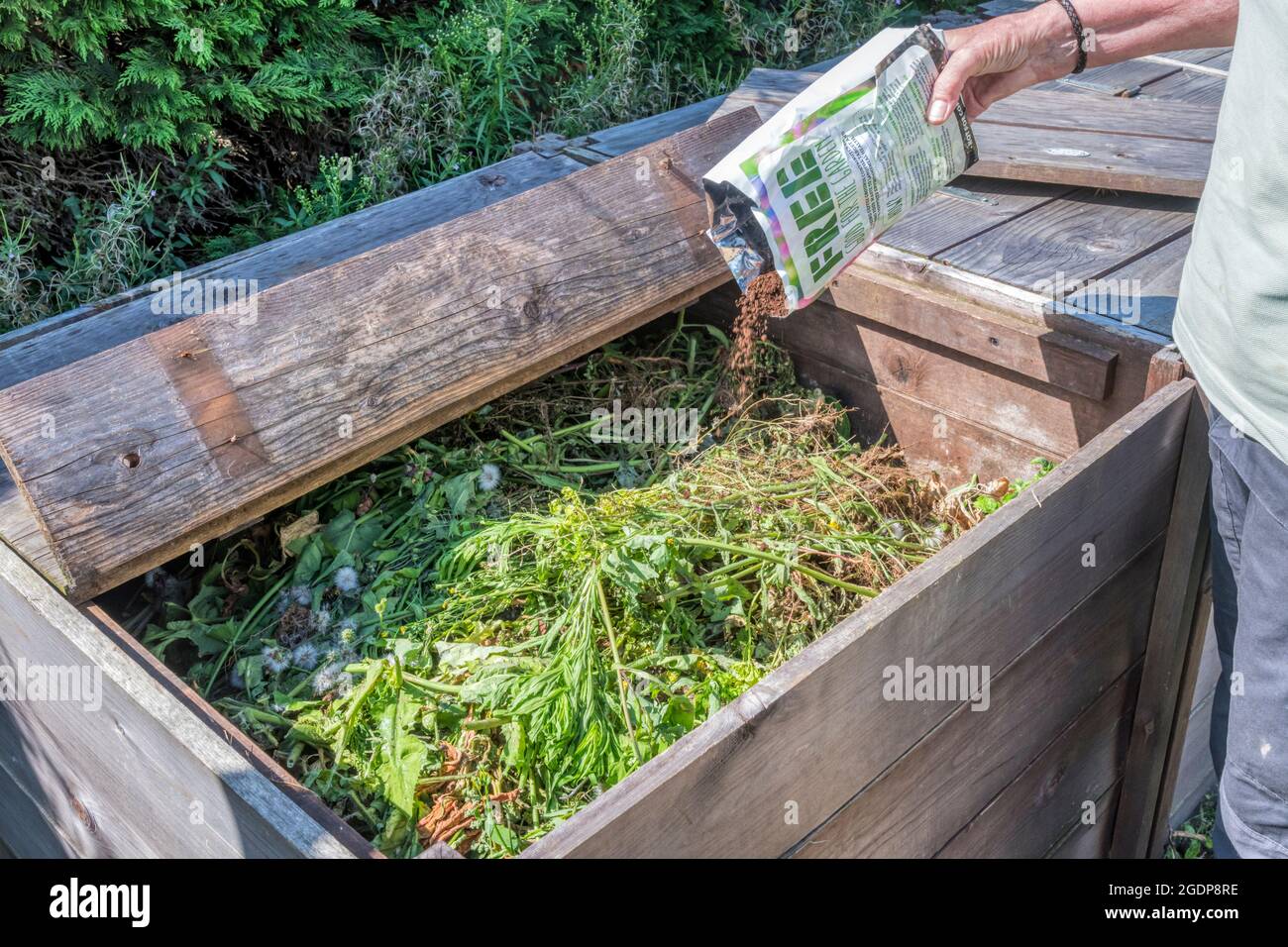 Rovesciare i fondi di caffè usati nel bidone del composto come fonte di azoto. Molti caffè e bar offrono terreni usati per raggiungere gli obiettivi di sostenibilità. Foto Stock