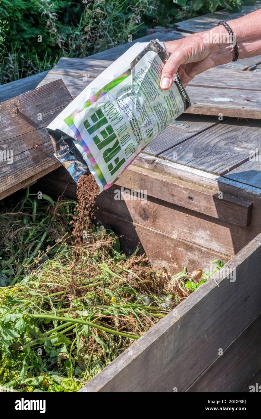 Rovesciare i fondi di caffè usati nel bidone del composto come fonte di azoto. Molti caffè e bar offrono terreni usati per raggiungere gli obiettivi di sostenibilità. Foto Stock
