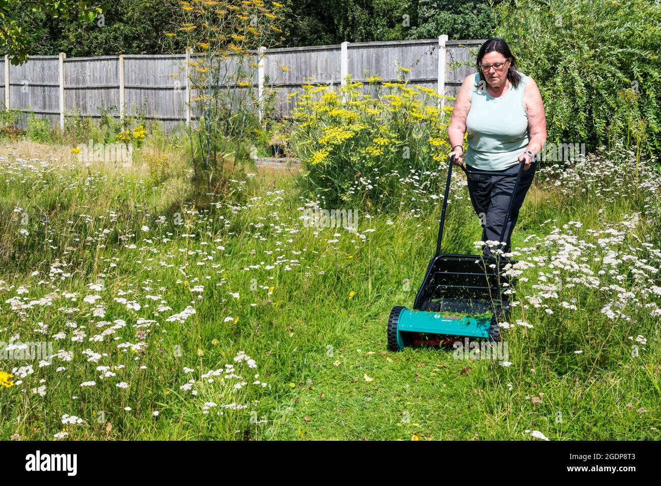 Donna che lascia l'erba crescere più a lungo e solo tagliando un breve percorso attraverso di essa. Consente fiori selvatici per fiorire e aiuta insetti. Foto Stock