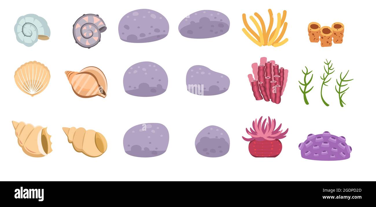Set di conchiglie, pietre, coralli, alghe. Shell. Mondo sottomarino. Acquario o stagno. Acqua estiva. Isolato su sfondo bianco. Illustrazione in Illustrazione Vettoriale