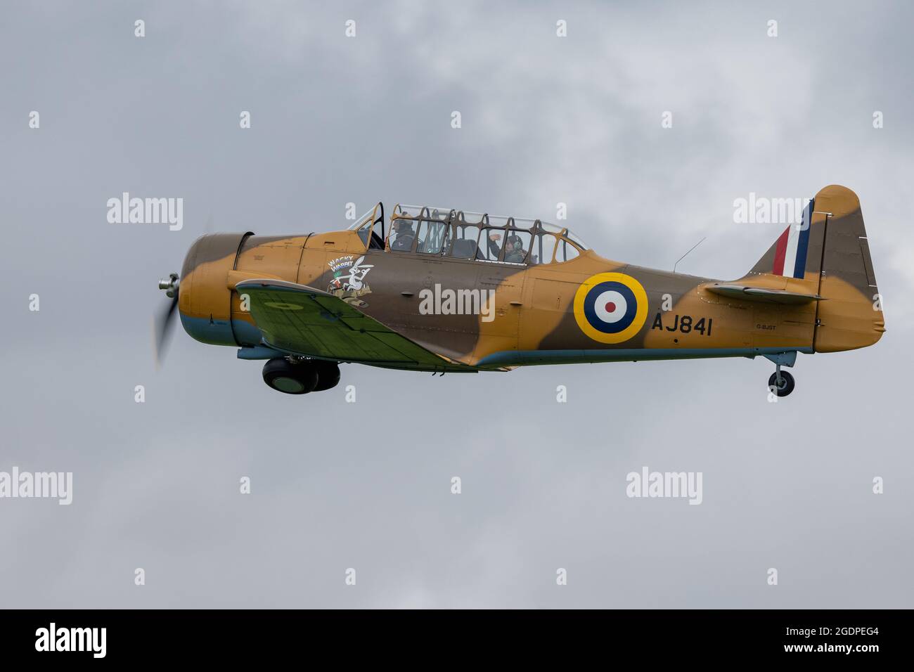 North American Harvard G-BJST ‘Wacky Wabbit’ decollo dall'Old Warden Aerodromo dando un passaggio fortunato un volo di piacere il 1 ° agosto 2021 Foto Stock
