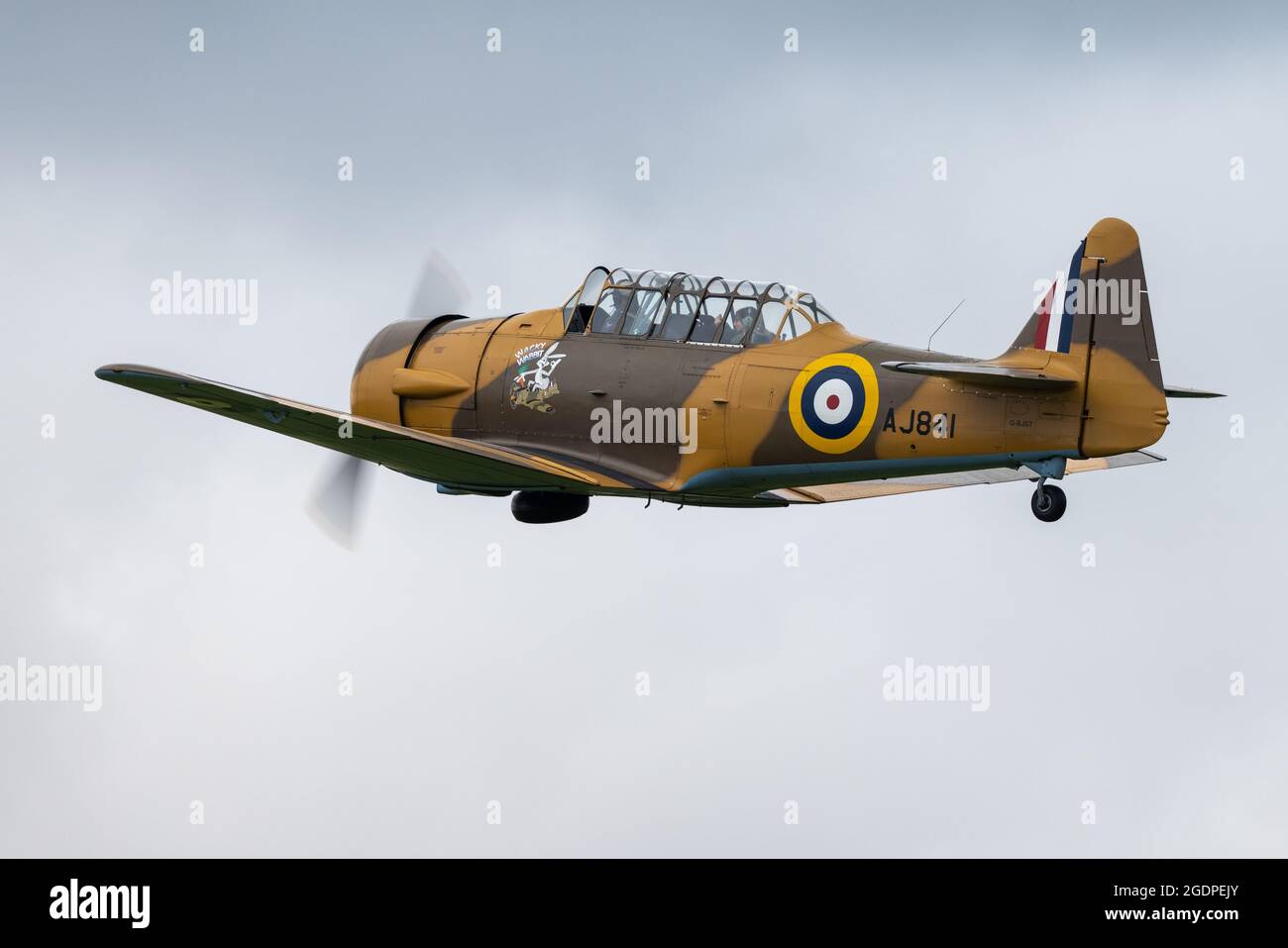 North American Harvard G-BJST ‘Wacky Wabbit’ decollo dall'Old Warden Aerodromo dando un passaggio fortunato un volo di piacere il 1 ° agosto 2021 Foto Stock