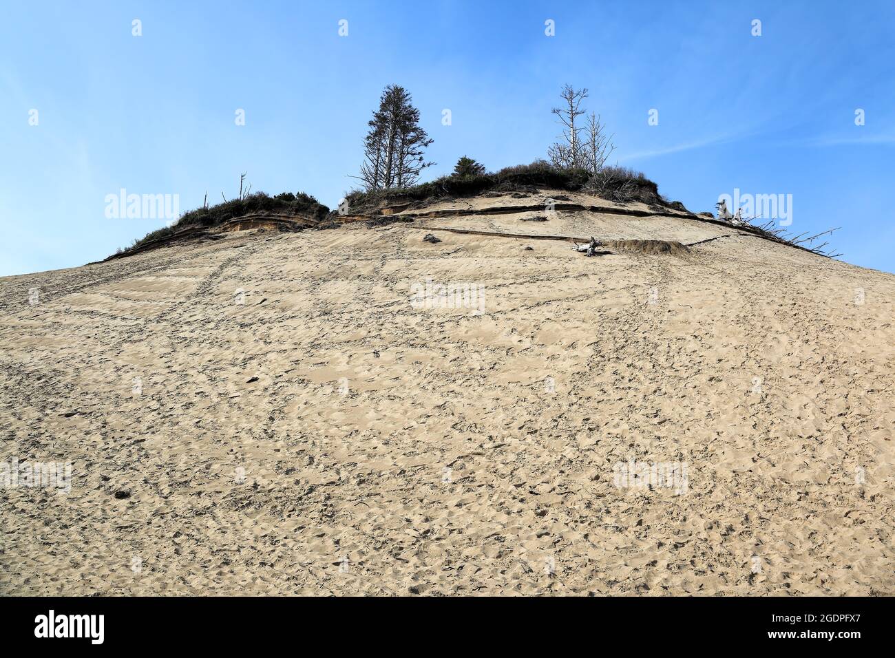 Lungo la costa dell'Oregon: La cima delle dune di sabbia dell'area naturale dello stato di Cape Kiwanda, una delle tre fermate lungo il percorso panoramico dei tre capes Foto Stock