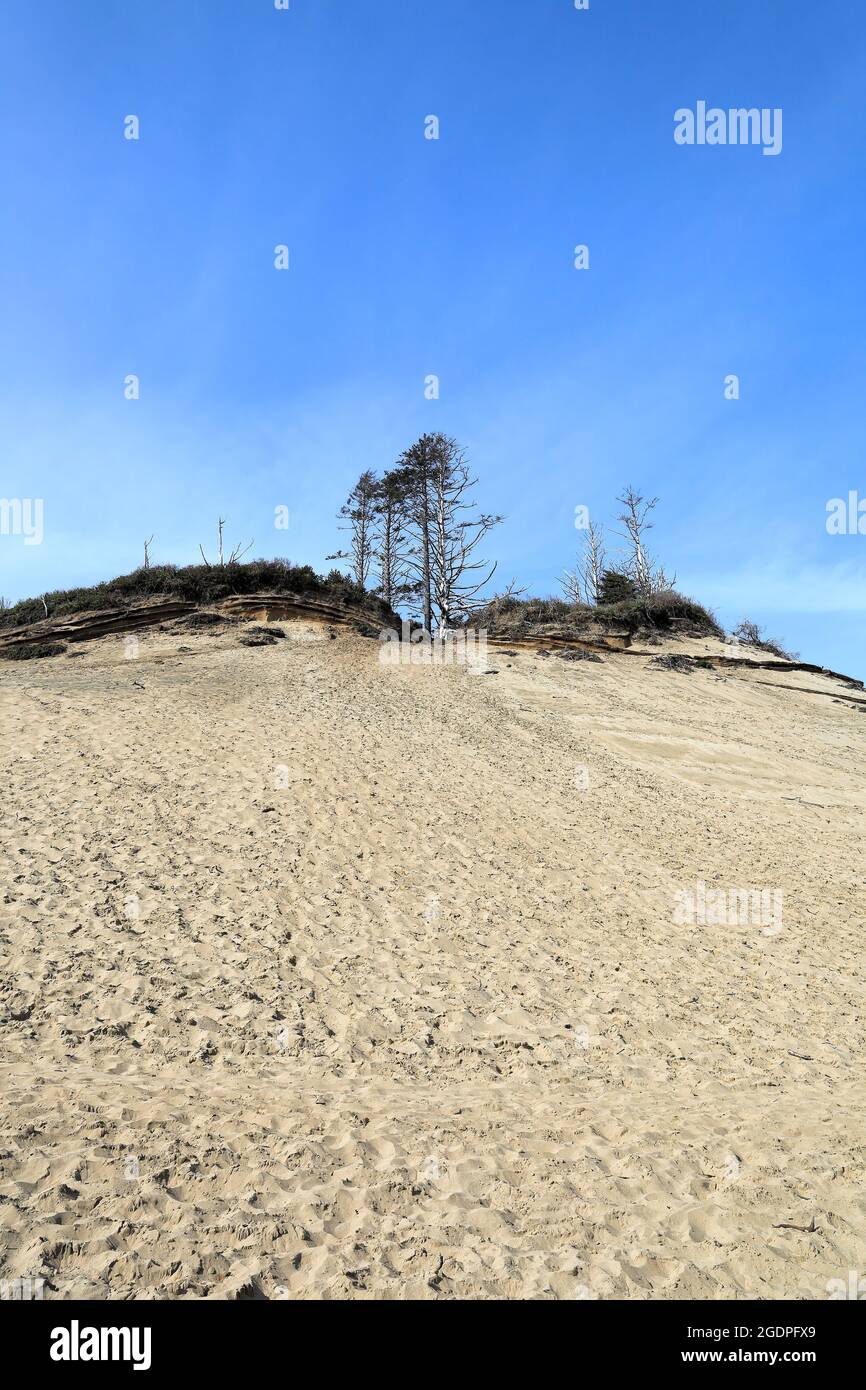 Lungo la costa dell'Oregon: La cima delle dune di sabbia dell'area naturale dello stato di Cape Kiwanda, una delle tre fermate lungo il percorso panoramico dei tre capes Foto Stock