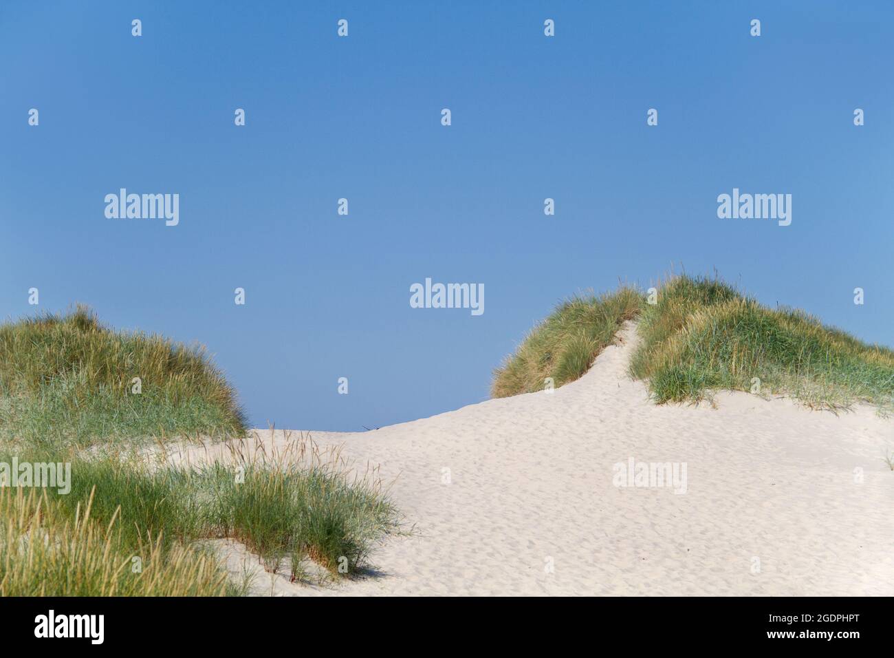 Dune di sabbia coltivate con erba di Marram contro un cielo blu chiaro Foto Stock Dune di sabbia coltivate con erba di Marram contro un cielo blu chiaro Foto Stock