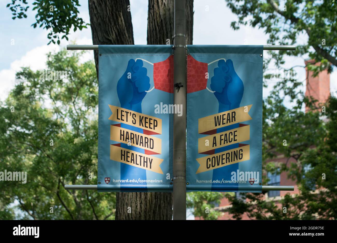 COVID-19: Università di Harvard, Cambridge, Massachusetts, Stati Uniti. 13 agosto 2021. Banner Health Mask nella Harvard Yard, centro del campus. Foto Stock