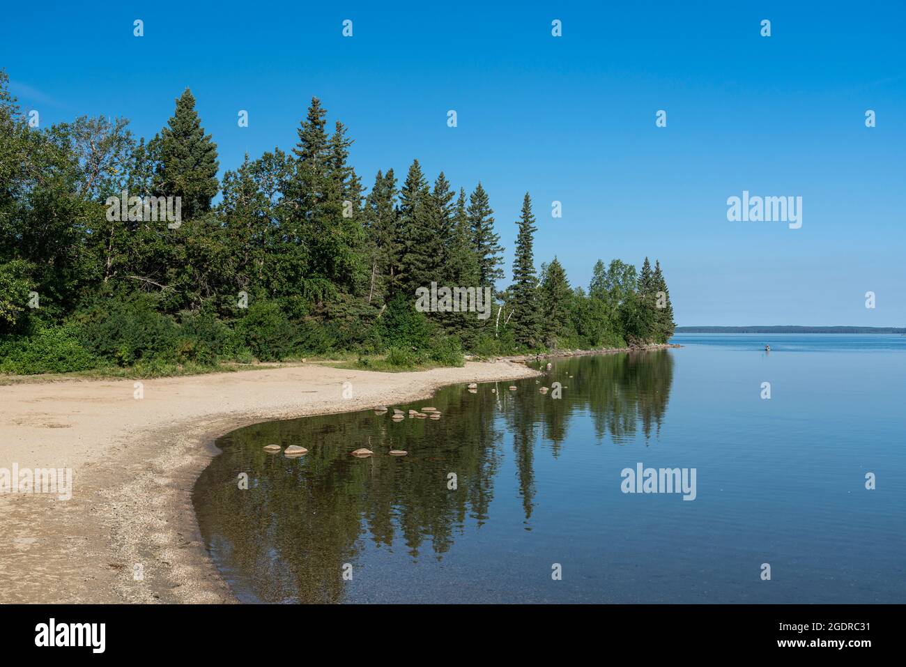 Il litorale di Clear Lake con riflessi nel Riding Mountain National Park, Manitoba, Canada. Foto Stock