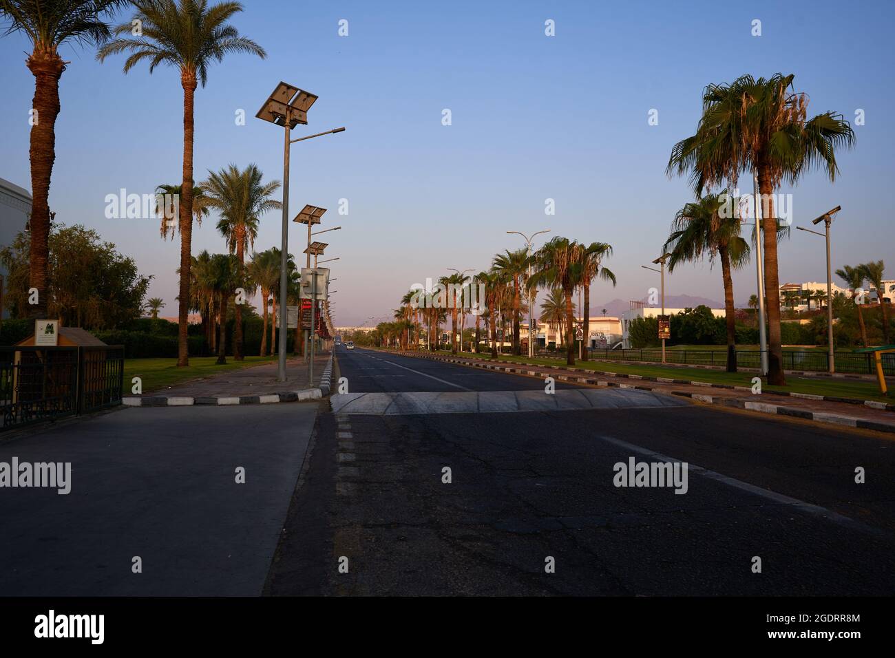 Strada tipica nella parte turistica della Penisola del Sinai Egitto. Via con palme Sharm El Sheikh Egitto Foto Stock