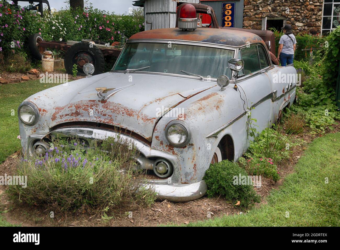 Mostra di auto classiche presso una stazione di Sinclair restaurata sulla Old Route 66, Ash Grove, Missouri. Foto Stock
