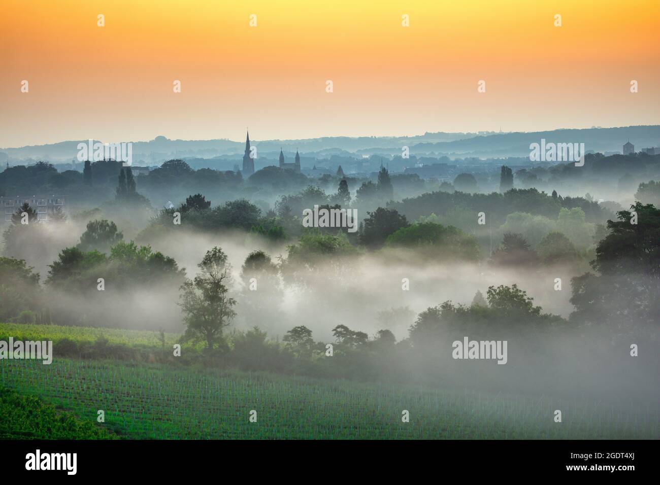 Paesi Bassi, Maastricht. Valle del fiume Jeker. Dwan, alba. Mattina nebbia. Foto Stock