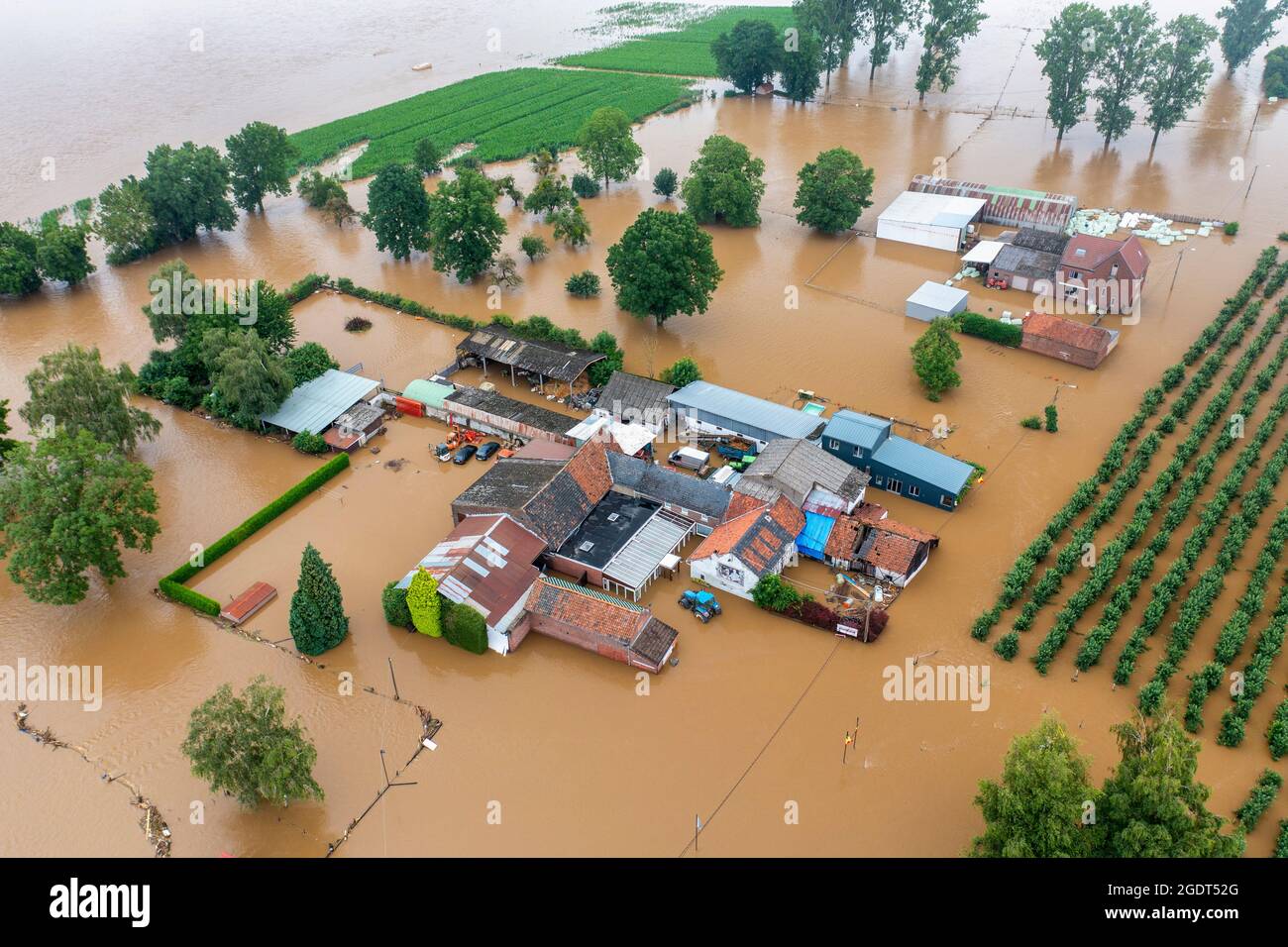 Belgio, Neerharen, Hamlet Herbricht nelle pianure alluvionali del fiume Maas. Inondazione. Alluvione. Antenna. Foto Stock