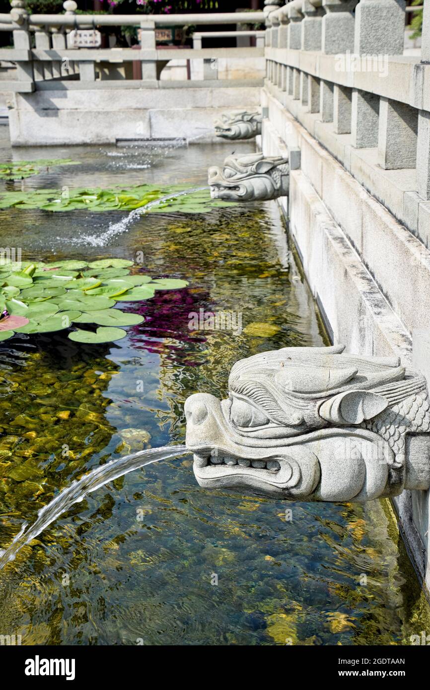 Fontana stagno in un tempio a Singapore, Asia Foto Stock