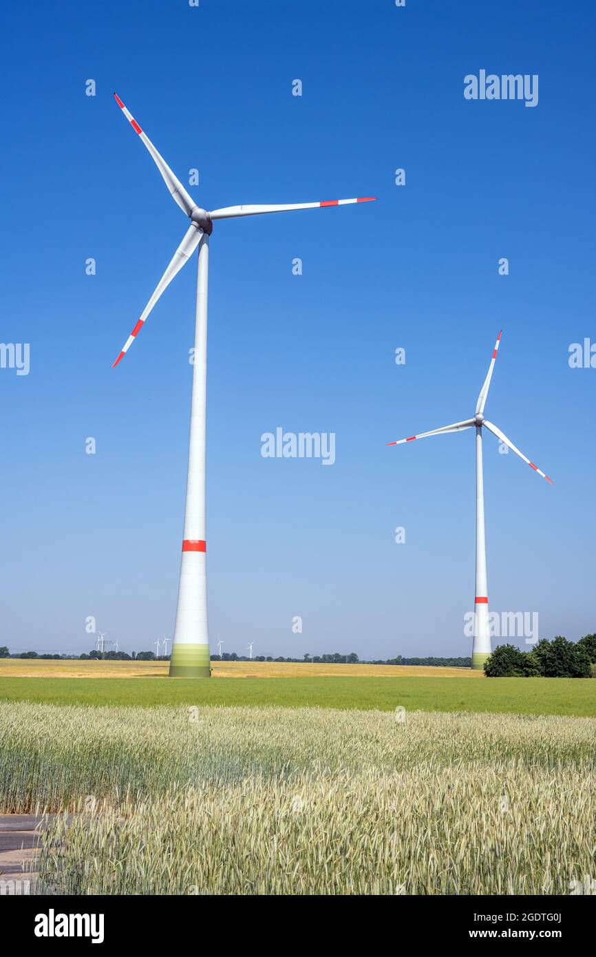 Turbine eoliche di fronte ad un cielo blu visto in Germania Foto Stock