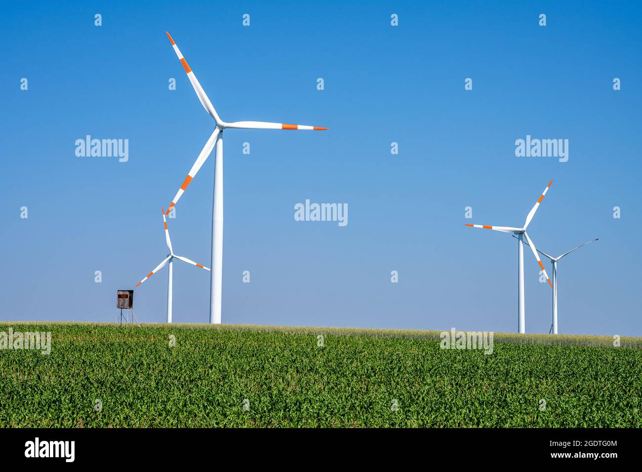 Turbine eoliche moderne in un campo di pascoli visto in Germania Foto Stock