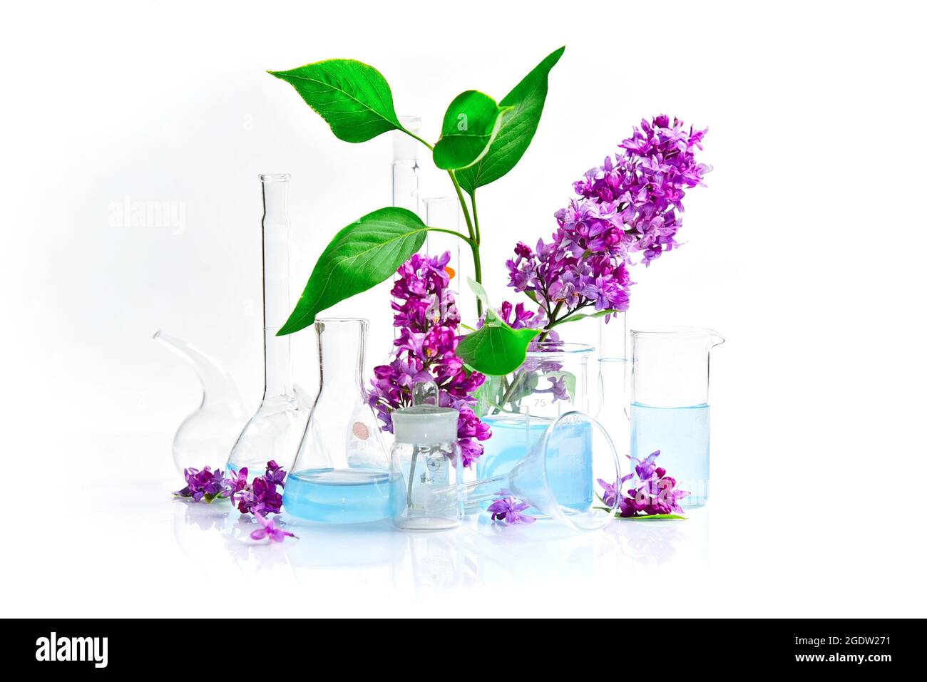 Vetreria da laboratorio per analisi chimiche e lavori chimici con fiori su sfondo bianco Foto Stock