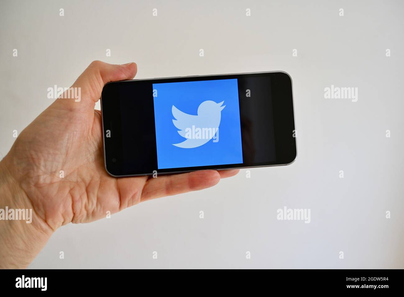 Icona Twitter visualizzata sullo schermo del telefono cellulare. Foto Stock