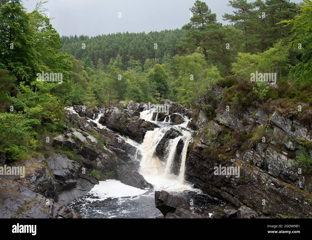 Cascate di Rogie, Black Water River, Ross-shire, Highlands, Scozia, Isole britanniche in estate. Foto Stock