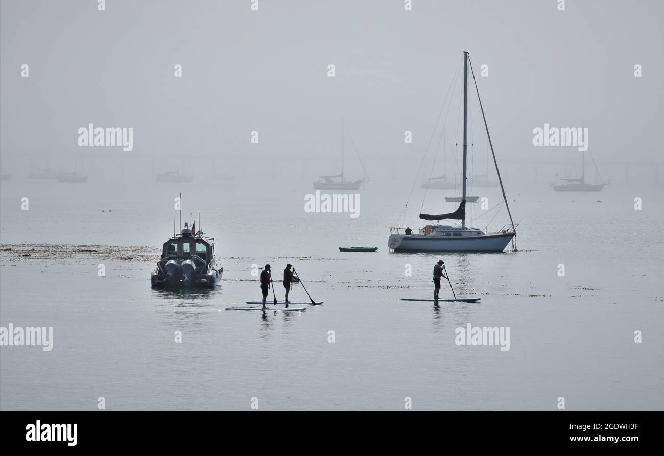 Paddle boarding sulle acque lisce di Post San Luis tra le barche da pesca e da diporto legati per ancorare le boe nel divieto, Avila Beach, San Luis Foto Stock