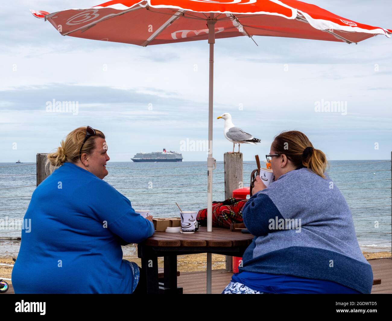 Un gabbiano guarda oltre due donne che bevono un drink sulla spiaggia di Weymouth. Foto Stock