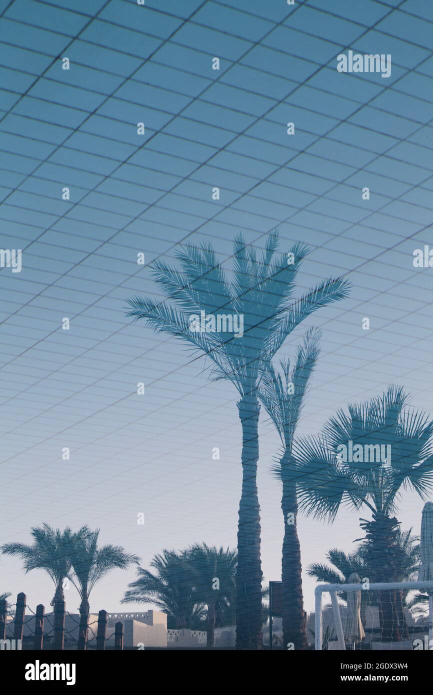 Riflesso di palme in acqua blu in piscina. Estate tropicale natura sfondo astratto Foto Stock