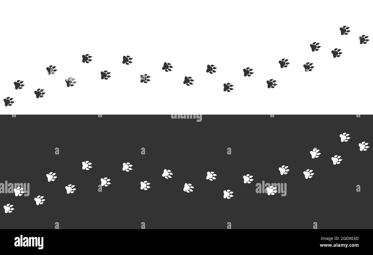 Sentiero del leone. Sfondo bianco e nero con tracce Illustrazione Vettoriale