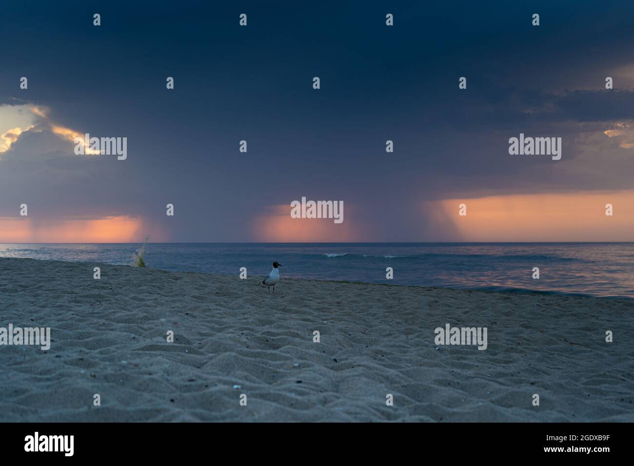 Stagcape. Onde sulla costa. La pioggia si riversa verso il basso dalla nuvola all'orizzonte. Thunderstorm anteriore. Nuvole e nuvole. Cielo dell'alba. Spiaggia di sabbia. Oceano Foto Stock