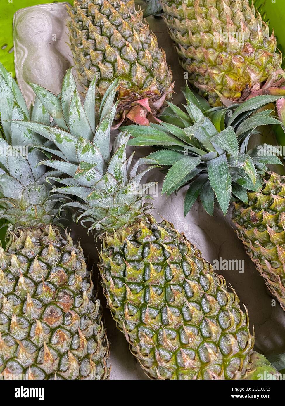 Primo piano immagine di ananas freschi e maturi con foglia tenuta insieme Foto Stock
