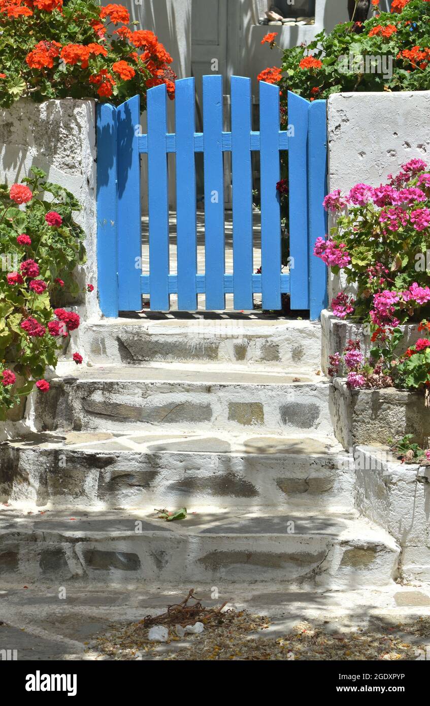 Isola di Sikinos, Grecia. Porta blu di una casa di villaggio tradizionale. Fiori colorati. Autentico scenario greco. Shot verticale. Foto Stock