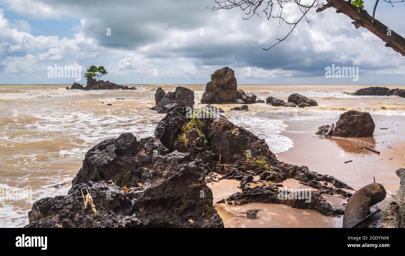 Bella natura incontaminata in Axim con un albero solitario che cresce su una piccola isola in pietra e spiagge con belle rocce formate dalle acque del We Foto Stock