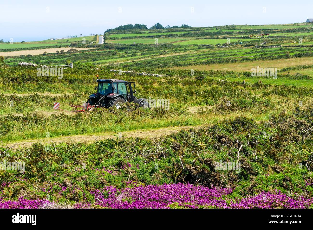 Trattore agricolo, la Hague, dipartimento della Manica, Cotentin, Regione Normandia, Francia Foto Stock