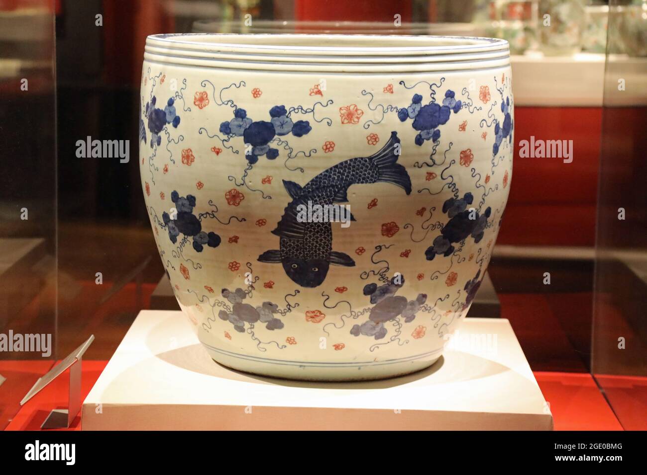 Ciotola cinese di pesce della dinastia Qing in mostra al Kelvingrove Museum di Glasgow Foto Stock