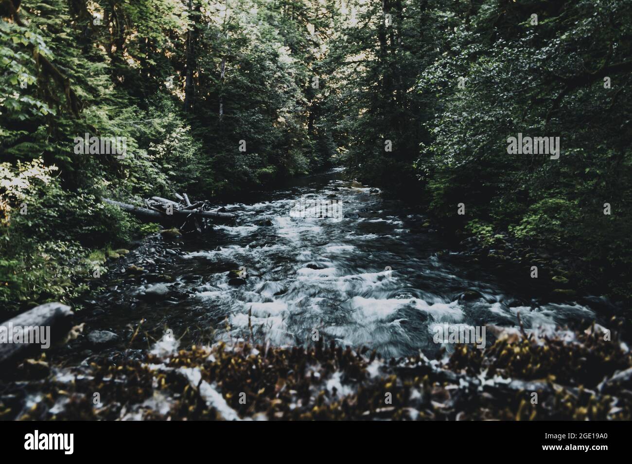 Viste sull'acqua Foto Stock