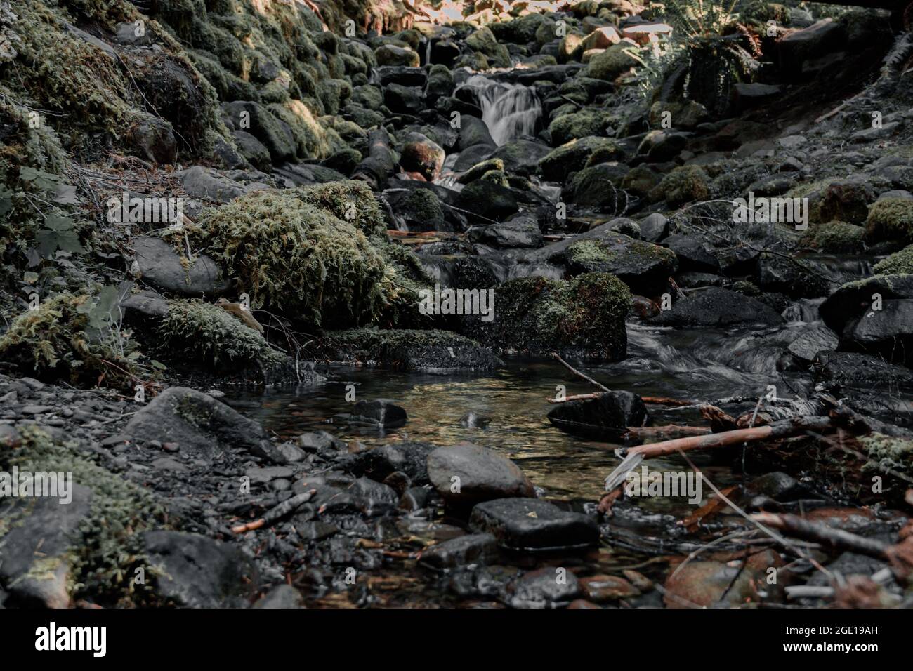 Viste sull'acqua Foto Stock