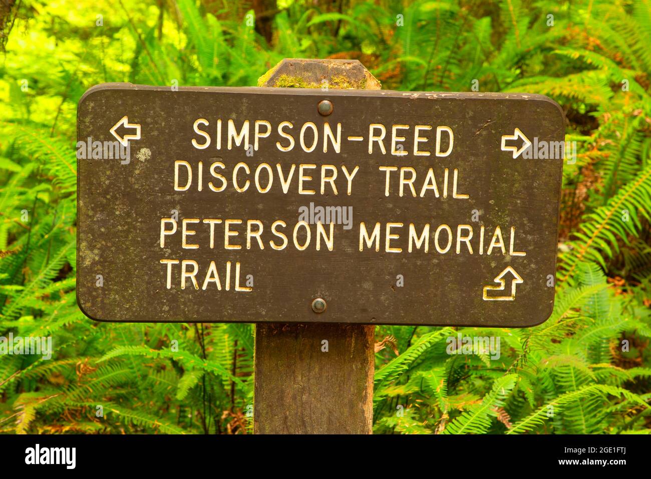 Insegna lungo Simpson-Reed Discovery Trail, Jedediah Smith Redwoods state Park, Redwood National Park, California Foto Stock