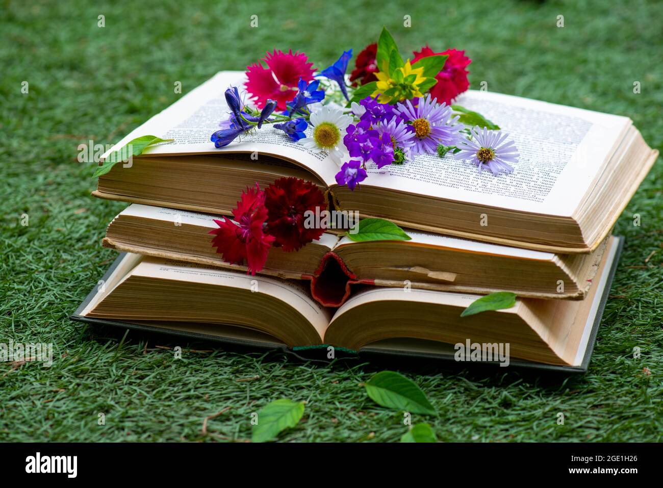 Ci sono libri in cima l'uno all'altro nel prato Foto Stock