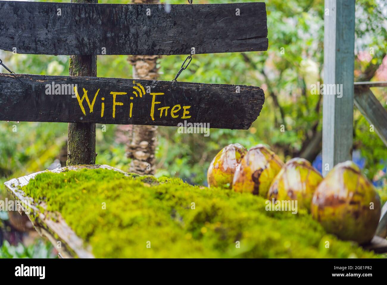 La connessione Wi-Fi è gratuita nella natura della foresta Foto Stock