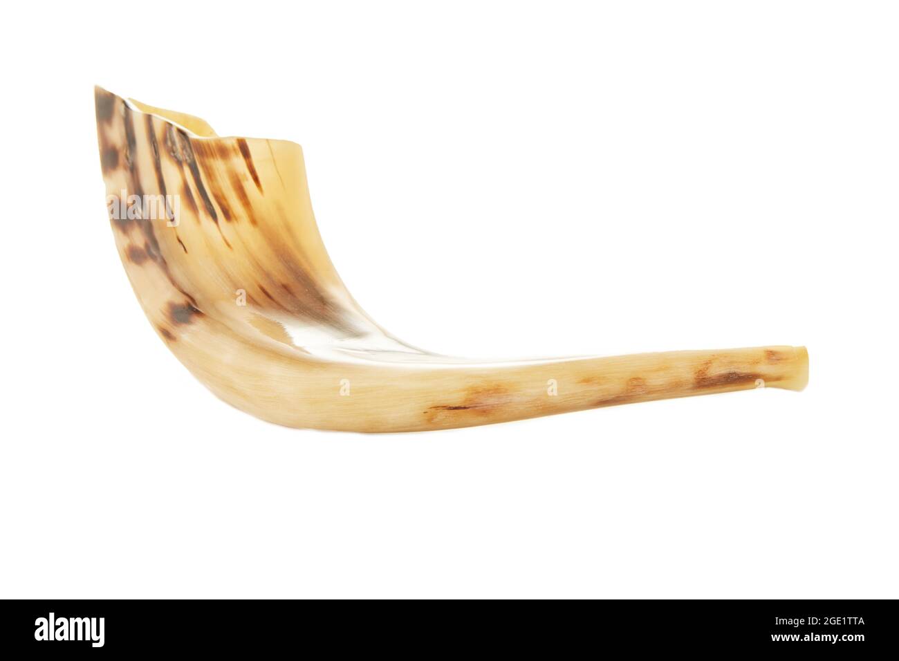 Rosh Hashanah - concetto ebreo di festa di Capodanno. Shofar isolato su sfondo bianco. Foto Stock