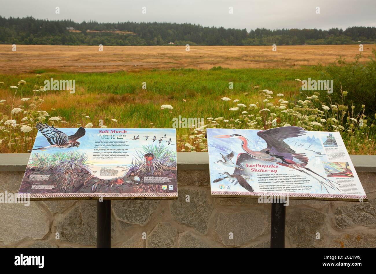 Cartelli interpretativi presso il punto panoramico Ni-les'tun, il Bandon Marsh National Wildlife Refuge, Ni-les'tun Unit, Oregon Foto Stock