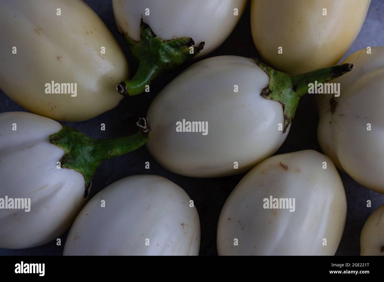 African White Garden Egg / Eggplant Foto Stock