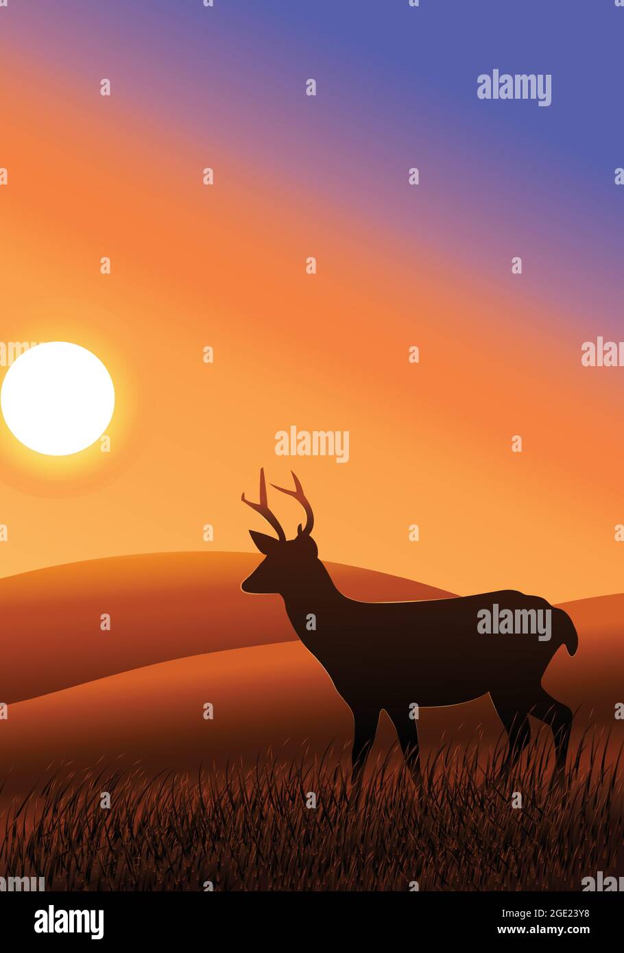 Sagoma del cervo sullo sfondo del tramonto. Splendido sfondo al tramonto con la silhouette del cervo. Stag o renna nella foresta. Illustrazione Vettoriale