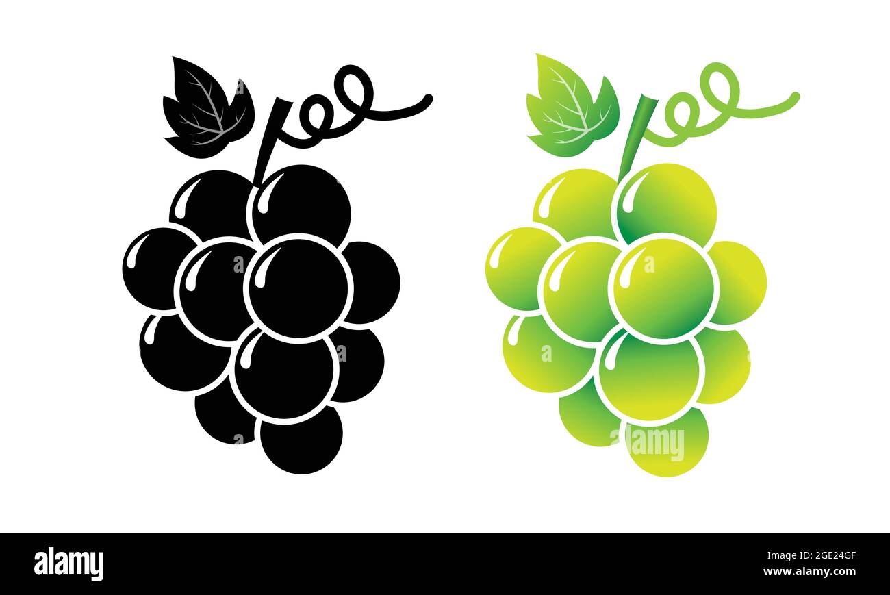Uva da vino, uva da tavola. Vettore grappolo d'uva fresco isolato su bianco. Frutta fresca e sana. Illustrazione Vettoriale