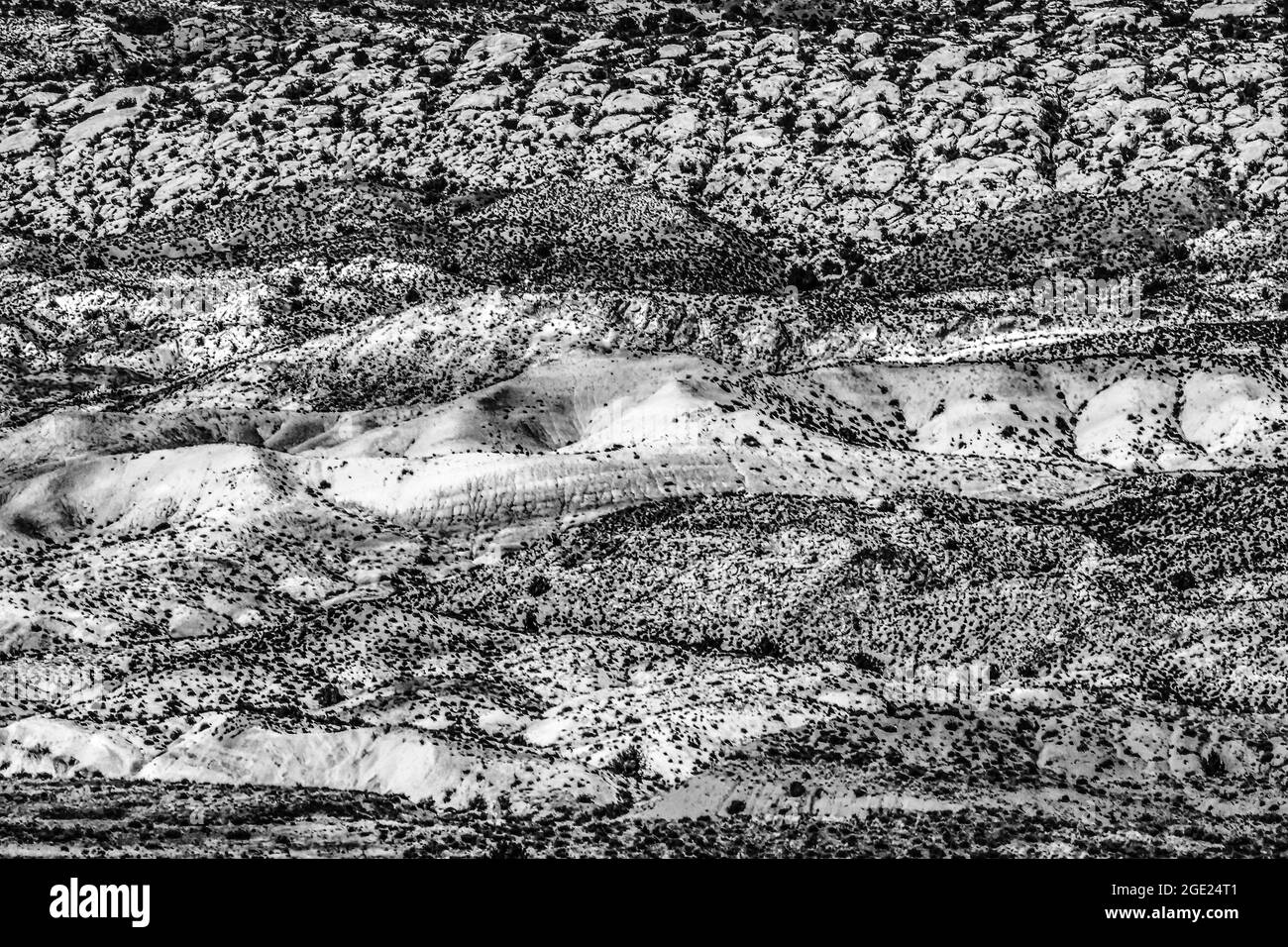Black White Painted Desert Abstract Grass Lands Sandstone Red Fiery Furnace Arches National Park Moab Utah USA Southwest. Foto Stock