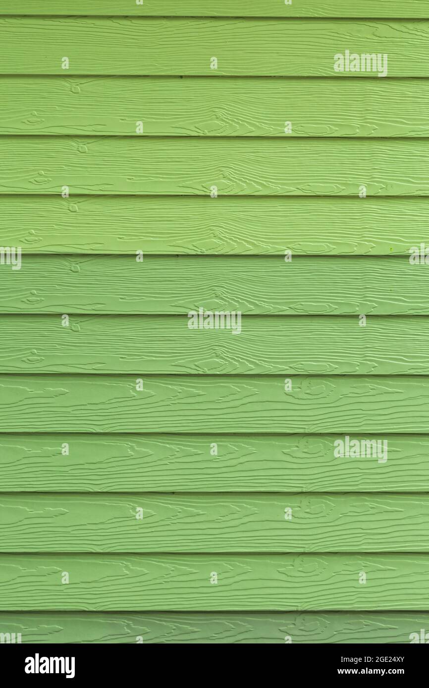Texture di legno di shera verde uso per sfondo. Foto Stock