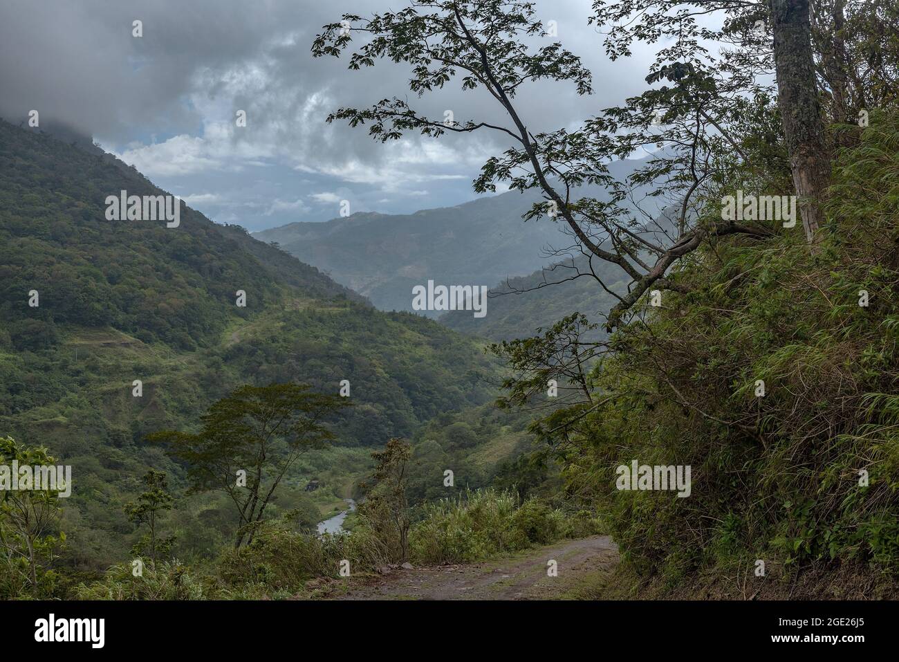 Il paesaggio della catena montuosa Talamanca, Panama Foto Stock