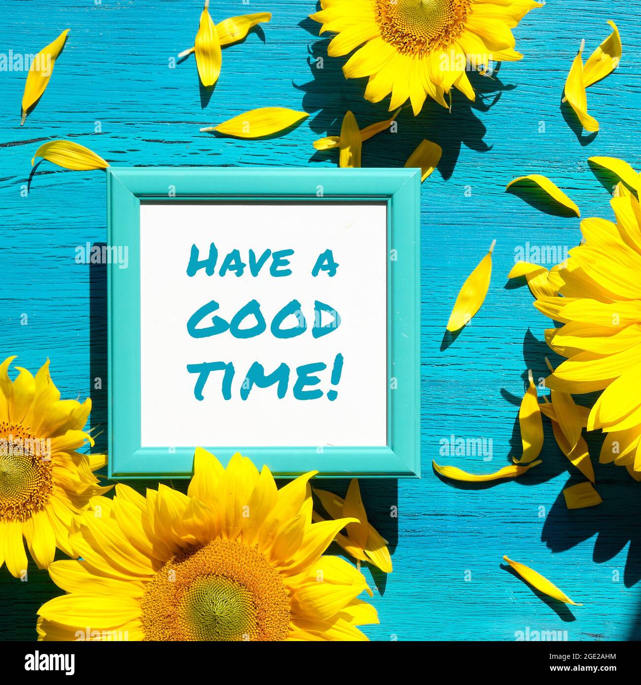 Il testo ha un buon tempo in cornice bianca quadrata. Fiori di girasole gialli e petali sparsi su vibranti superfici in legno turchese. Audace Foto Stock