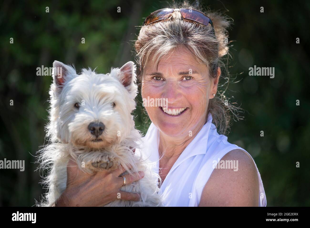 Donna in possesso di un adulto West Highland White Terrier Foto Stock